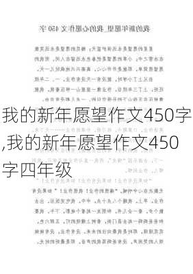 我的新年愿望作文450字,我的新年愿望作文450字四年级