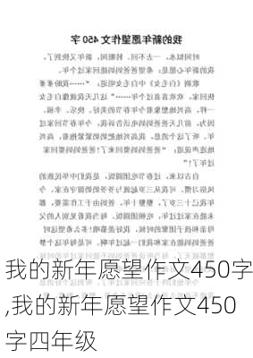 我的新年愿望作文450字,我的新年愿望作文450字四年级