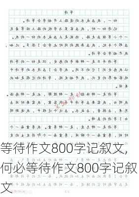 等待作文800字记叙文,何必等待作文800字记叙文