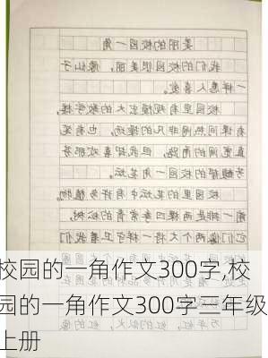 校园的一角作文300字,校园的一角作文300字三年级上册