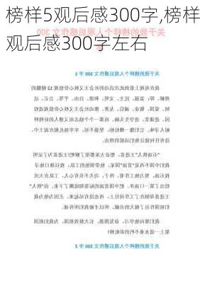 榜样5观后感300字,榜样观后感300字左右