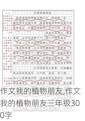 作文我的植物朋友,作文我的植物朋友三年级300字