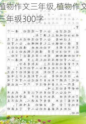 植物作文三年级,植物作文三年级300字