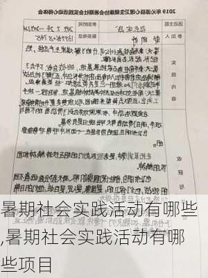 暑期社会实践活动有哪些,暑期社会实践活动有哪些项目