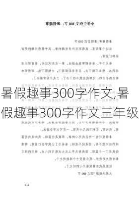 暑假趣事300字作文,暑假趣事300字作文三年级