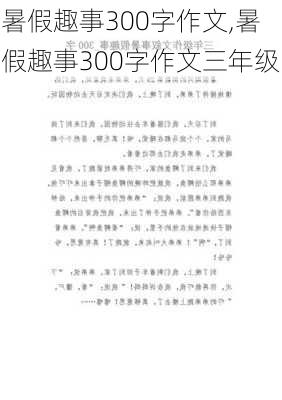 暑假趣事300字作文,暑假趣事300字作文三年级