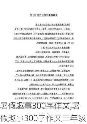 暑假趣事300字作文,暑假趣事300字作文三年级