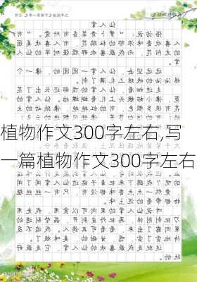 植物作文300字左右,写一篇植物作文300字左右