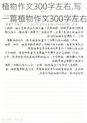 植物作文300字左右,写一篇植物作文300字左右