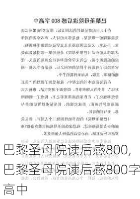 巴黎圣母院读后感800,巴黎圣母院读后感800字高中