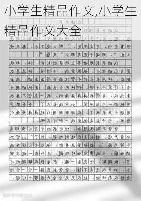 小学生精品作文,小学生精品作文大全