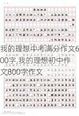 我的理想中考满分作文600字,我的理想初中作文800字作文