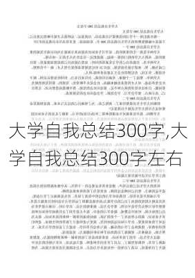 大学自我总结300字,大学自我总结300字左右