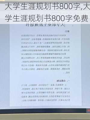 大学生涯规划书800字,大学生涯规划书800字免费