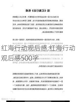 红海行动观后感,红海行动观后感500字