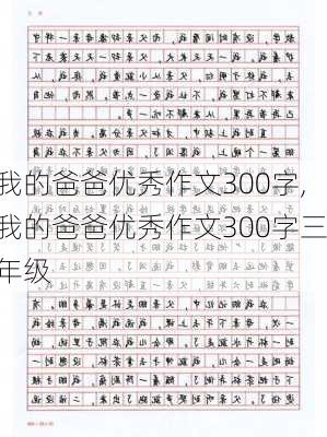 我的爸爸优秀作文300字,我的爸爸优秀作文300字三年级