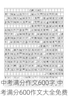 中考满分作文600字,中考满分600作文大全免费