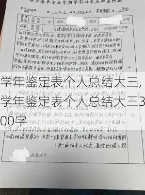 学年鉴定表个人总结大三,学年鉴定表个人总结大三300字