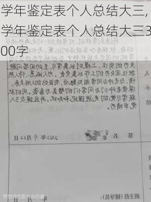 学年鉴定表个人总结大三,学年鉴定表个人总结大三300字