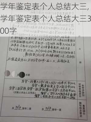 学年鉴定表个人总结大三,学年鉴定表个人总结大三300字