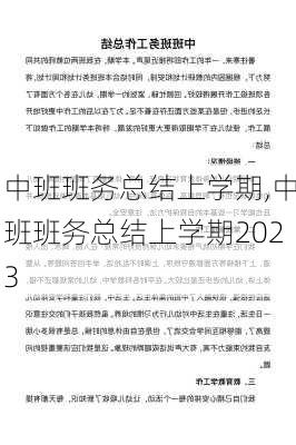 中班班务总结上学期,中班班务总结上学期2023