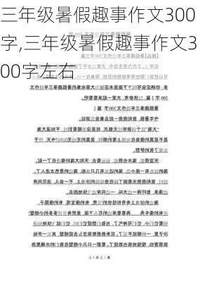 三年级暑假趣事作文300字,三年级暑假趣事作文300字左右