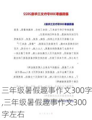 三年级暑假趣事作文300字,三年级暑假趣事作文300字左右