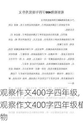 观察作文400字四年级,观察作文400字四年级植物