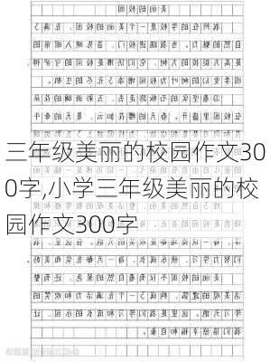 三年级美丽的校园作文300字,小学三年级美丽的校园作文300字