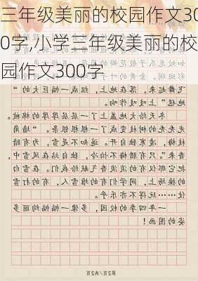 三年级美丽的校园作文300字,小学三年级美丽的校园作文300字