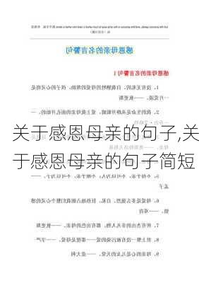 关于感恩母亲的句子,关于感恩母亲的句子简短