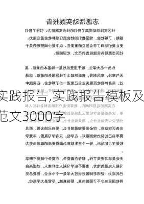 实践报告,实践报告模板及范文3000字