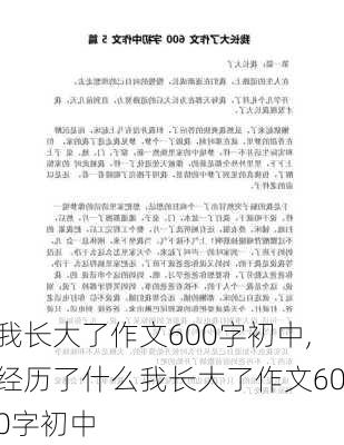 我长大了作文600字初中,经历了什么我长大了作文600字初中