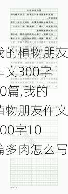 我的植物朋友作文300字10篇,我的植物朋友作文300字10篇多肉怎么写