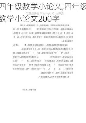 四年级数学小论文,四年级数学小论文200字