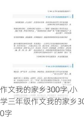 作文我的家乡300字,小学三年级作文我的家乡300字