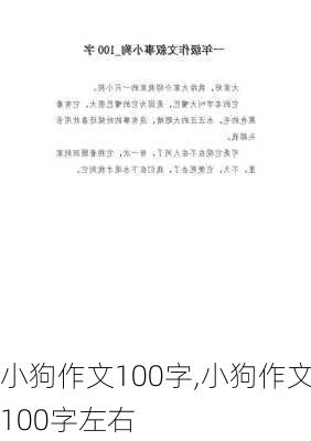 小狗作文100字,小狗作文100字左右