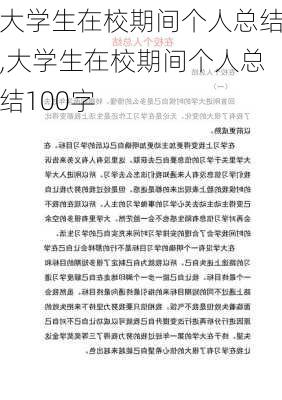 大学生在校期间个人总结,大学生在校期间个人总结100字