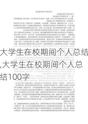 大学生在校期间个人总结,大学生在校期间个人总结100字