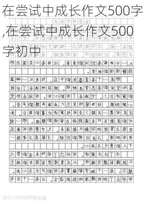 在尝试中成长作文500字,在尝试中成长作文500字初中