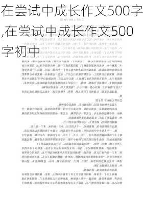 在尝试中成长作文500字,在尝试中成长作文500字初中