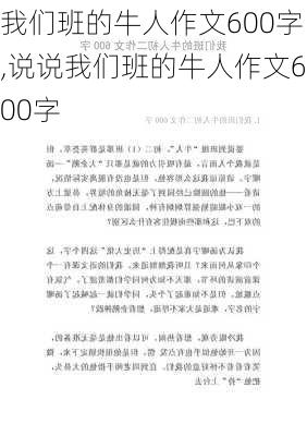 我们班的牛人作文600字,说说我们班的牛人作文600字