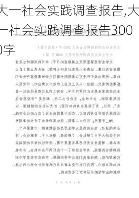 大一社会实践调查报告,大一社会实践调查报告3000字