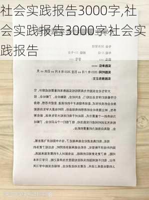 社会实践报告3000字,社会实践报告3000字社会实践报告