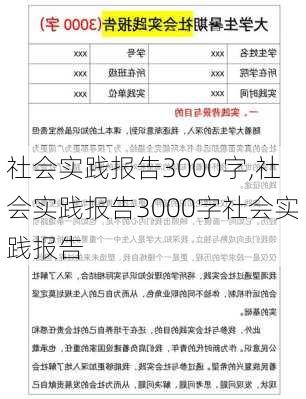 社会实践报告3000字,社会实践报告3000字社会实践报告