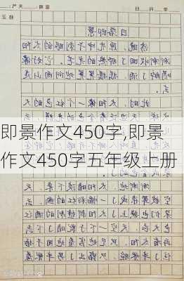 即景作文450字,即景作文450字五年级上册