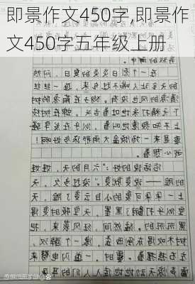 即景作文450字,即景作文450字五年级上册