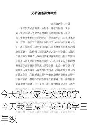 今天我当家作文300字,今天我当家作文300字三年级