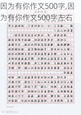 因为有你作文500字,因为有你作文500字左右