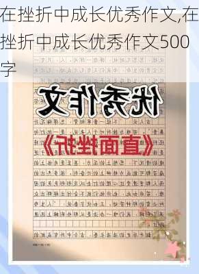 在挫折中成长优秀作文,在挫折中成长优秀作文500字